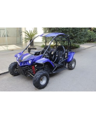 125CC SAHARA Offroad Dune Buggy Atv Quad Twin Seat Right-hand Drive 3FD With Rev