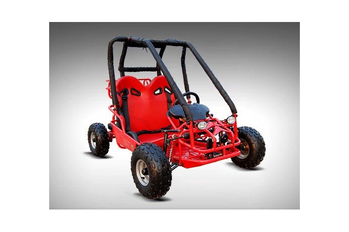 90cc Offroad Dune Buggy Quad ATV Teen Twin Seat Gokart Kids