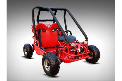 90cc Offroad Dune Buggy Quad ATV Teen Twin Seat Gokart Kids  Under 12yrs 110/125 90cc Offroad Dune Buggy Quad ATV Teen Twin Seat Gokart Kids  Under 12yrs 110/125