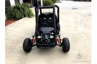 90cc Offroad Dune Buggy Quad ATV Teen Twin Seat Gokart Kids  Under 12yrs 110/125