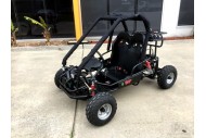 90cc Offroad Dune Buggy Quad ATV Teen Twin Seat Gokart Kids  Under 12yrs 110/125