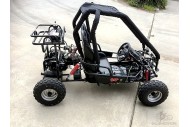 90cc Offroad Dune Buggy Quad ATV Teen Twin Seat Gokart Kids  Under 12yrs 110/125