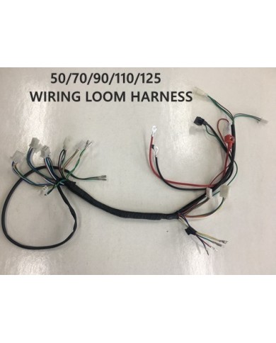 Electric Start Wiring Harness Loom 50cc 110cc 125cc QUAD DIRT BIKE ATV Buggy Electric Start Wiring Harness Loom 50cc 110cc 125cc QUAD DIRT BIKE ATV Buggy