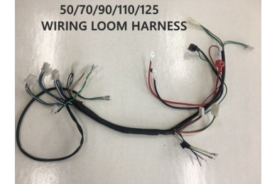 Electric Start Wiring Harness Loom 50cc 110cc 125cc QUAD DIRT BIKE ATV Buggy