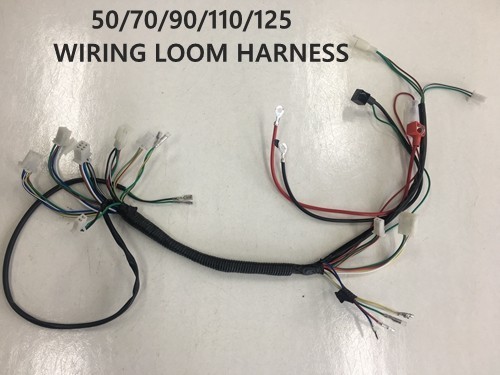 Electric Start Wiring Harness Loom 50cc 110cc 125cc QUAD DIRT BIKE ATV Buggy Electric Start Wiring Harness Loom 50cc 110cc 125cc QUAD DIRT BIKE ATV Buggy