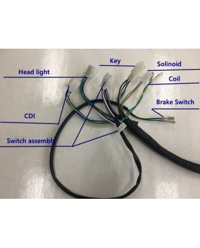Electric Start Wiring Harness Loom 50cc 110cc 125cc QUAD DIRT BIKE ATV Buggy Electric Start Wiring Harness Loom 50cc 110cc 125cc QUAD DIRT BIKE ATV Buggy