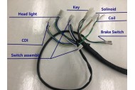 Electric Start Wiring Harness Loom 50cc 110cc 125cc QUAD DIRT BIKE ATV Buggy Electric Start Wiring Harness Loom 50cc 110cc 125cc QUAD DIRT BIKE ATV Buggy
