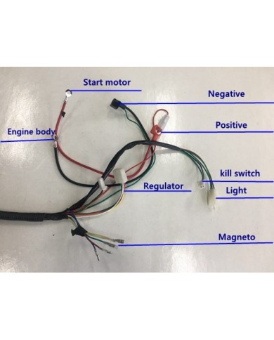 Electric Start Wiring Harness Loom 50cc 110cc 125cc QUAD DIRT BIKE ATV Buggy Electric Start Wiring Harness Loom 50cc 110cc 125cc QUAD DIRT BIKE ATV Buggy