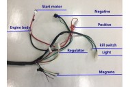 Electric Start Wiring Harness Loom 50cc 110cc 125cc QUAD DIRT BIKE ATV Buggy Electric Start Wiring Harness Loom 50cc 110cc 125cc QUAD DIRT BIKE ATV Buggy