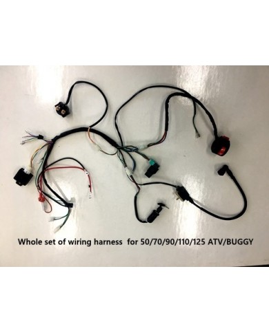 Complete Electric Start Engine Wiring Harness Loom 110 125cc Quad Bike ATV Buggy Complete Electric Start Engine Wiring Harness Loom 110 125cc Quad Bike ATV Buggy