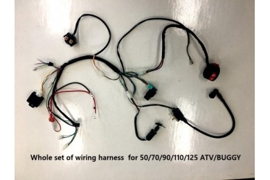 Complete Electric Start Engine Wiring Harness Loom 110 125cc Quad Bike ATV Buggy