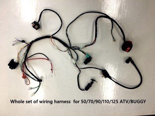 Complete Electric Start Engine Wiring Harness Loom 110 125cc Quad Bike ATV Buggy