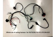 Complete Electric Start Engine Wiring Harness Loom 110 125cc Quad Bike ATV Buggy