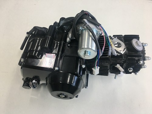 25cc 3+1 Semi Auto + Reverse Engine Motor PIT QUAD DIRT BIKE ATV DUNE BUGGY