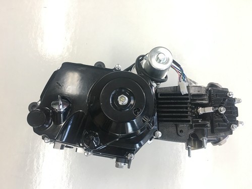 25cc 3+1 Semi Auto + Reverse Engine Motor PIT QUAD DIRT BIKE ATV DUNE BUGGY