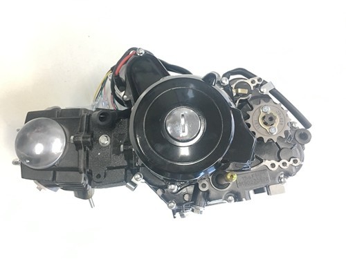 25cc 3+1 Semi Auto + Reverse Engine Motor PIT QUAD DIRT BIKE ATV DUNE BUGGY