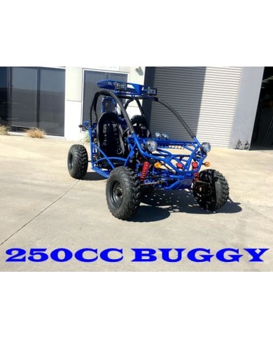 250cc Twin Seat Dune Buggy Water Cooled Right-hand Drive