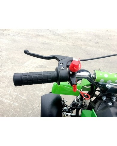 49CC MINI QUAD BIKE ATV BUGGY KIDS 4 WHEELER POCKET PIT DIRT BIKE  MJMOTOR GREEN 49CC MINI QUAD BIKE ATV BUGGY KIDS 4 WHEELER POCKET PIT DIRT BIKE  MJMOTOR GREEN