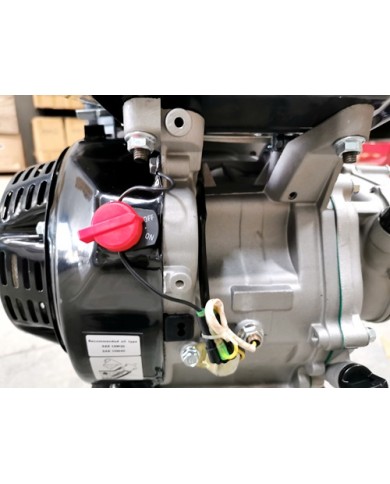9HP 2:1 Reduction Gear Box Stationary Motor Engine Wet Clutch 4 Go Kart Trike 9HP 2:1 Reduction Gear Box Stationary Motor Engine Wet Clutch 4 Go Kart Trike