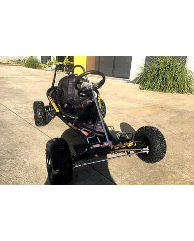 200CC 6.5HP Go Kart Dune Buggy QUAD 4 Stroke Upgraded Adult/Kids Sizes