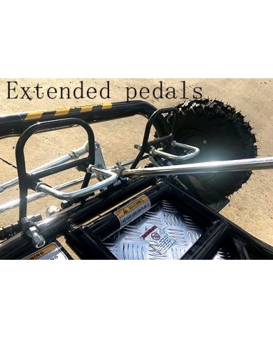 200CC 6.5HP Go Kart Dune Buggy QUAD 4 Stroke Upgraded Adult/Kids Sizes