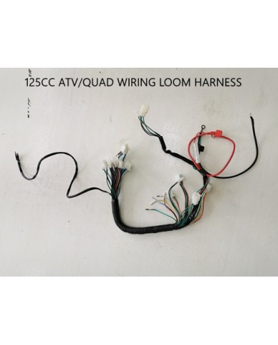 Electric Start Wiring Harness Loom 50cc 110cc 125cc QUAD DIRT BIKE ATV Buggy Electric Start Wiring Harness Loom 50cc 110cc 125cc QUAD DIRT BIKE ATV Buggy