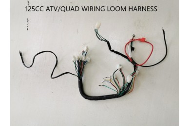 Electric Start Wiring Harness Loom 50cc 110cc 125cc QUAD DIRT BIKE ATV Buggy