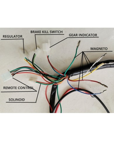 Electric Start Wiring Harness Loom 50cc 110cc 125cc QUAD DIRT BIKE ATV Buggy Electric Start Wiring Harness Loom 50cc 110cc 125cc QUAD DIRT BIKE ATV Buggy