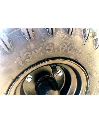 200CC 6.5HP Go Kart Dune Buggy QUAD 4 Stroke Upgraded Adult/Kids Sizes