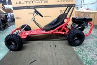 200CC 6.5HP Go Kart Dune Buggy QUAD 4 Stroke Upgraded Adult/Kids Sizes 200CC 6.5HP Go Kart Dune Buggy QUAD 4 Stroke Upgraded Adult/Kids Sizes