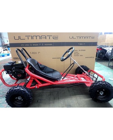 200CC 6.5HP Go Kart Dune Buggy QUAD 4 Stroke Upgraded Adult/Kids Sizes