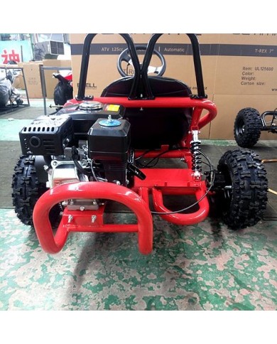 200CC 6.5HP Go Kart Dune Buggy QUAD 4 Stroke Upgraded Adult/Kids Sizes