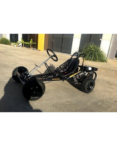 200CC 6.5HP Go Kart Dune Buggy QUAD 4 Stroke Upgraded Adult/Kids Sizes