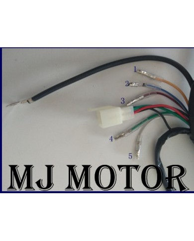 Electric Start Wiring Harness Loom 50cc 110cc 125cc PIT QUAD DIRT BIKE ATV BUGGY Electric Start Wiring Harness Loom 50cc 110cc 125cc PIT QUAD DIRT BIKE ATV BUGGY
