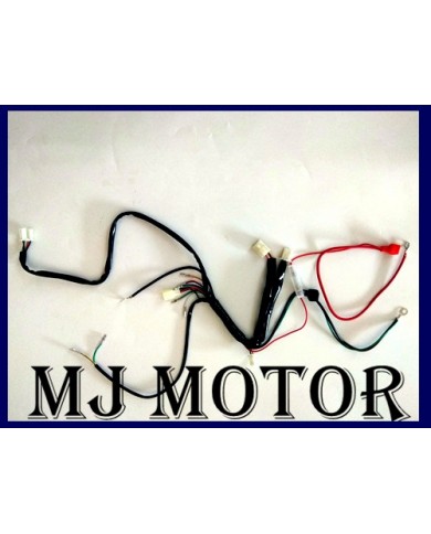 Electric Start Wiring Harness Loom 50cc 110cc 125cc PIT QUAD DIRT BIKE ATV BUGGY Electric Start Wiring Harness Loom 50cc 110cc 125cc PIT QUAD DIRT BIKE ATV BUGGY