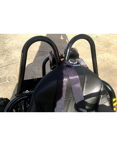 200CC 6.5HP Go Kart Dune Buggy QUAD 4 Stroke Upgraded Adult/Kids Sizes