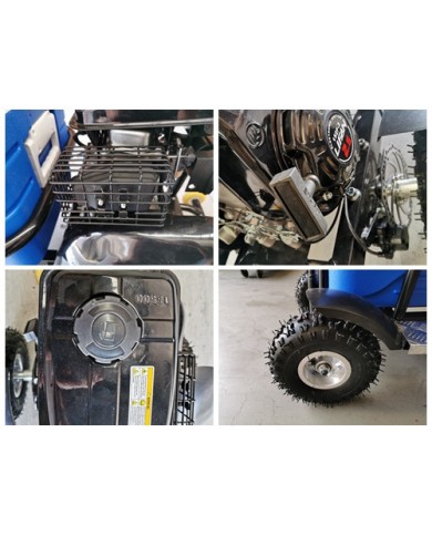 80cc Motorised Cooler Scooter 4 Wheel Motorbike Atv Quad Icebox Esky Lifan