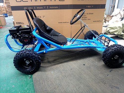200CC 6.5HP Go Kart Dune Buggy QUAD 4 Stroke Upgraded Adult/Kids Sizes 200CC 6.5HP Go Kart Dune Buggy QUAD 4 Stroke Upgraded Adult/Kids Sizes