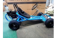 200CC 6.5HP Go Kart Dune Buggy QUAD 4 Stroke Upgraded Adult/Kids Sizes 200CC 6.5HP Go Kart Dune Buggy QUAD 4 Stroke Upgraded Adult/Kids Sizes