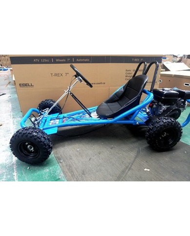 200CC 6.5HP Go Kart Dune Buggy QUAD 4 Stroke Upgraded Adult/Kids Sizes