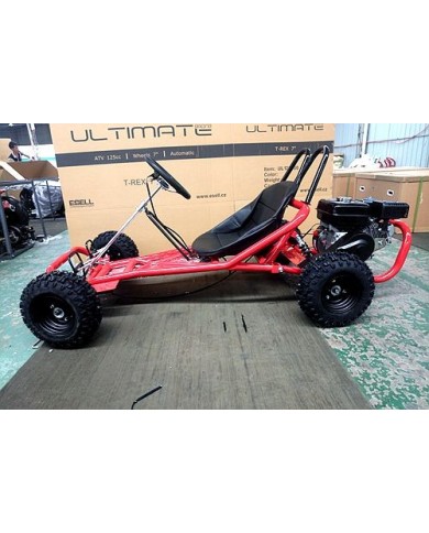 200CC 6.5HP Go Kart Dune Buggy QUAD 4 Stroke Upgraded Adult/Kids Sizes
