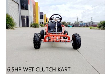 200cc 6.5HP Go Kart Wet Clutch Dune Buggy ATV Quad 4 Stroke Adult/Teen/Kid Sizes RED 200cc 6.5HP Go Kart Wet Clutch Dune Buggy ATV Quad 4 Stroke Adult/Teen/Kid Sizes RED