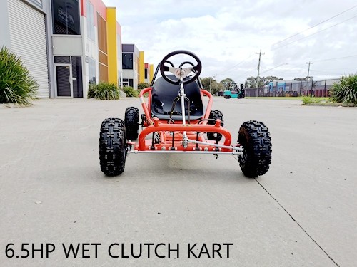 200cc 6.5HP Go Kart Wet Clutch Dune Buggy ATV Quad 4 Stroke Adult/Teen/Kid Sizes RED
