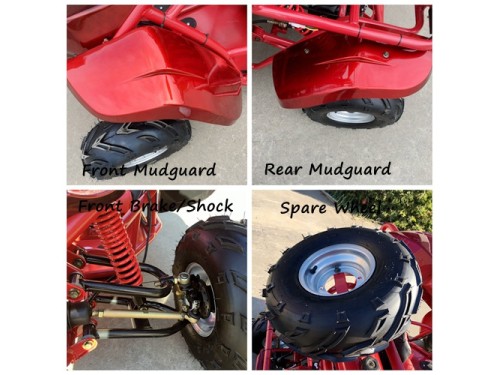 125CC Buggy ATV Sport Quad Dirt Bike 4 Wheel  Go kart Semi Auto SAHARA PRO RED