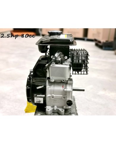 2.5HP 80cc Engine Lifan Gokart Drift Trike Lifan Esky 16mm Output Shaft OHV
