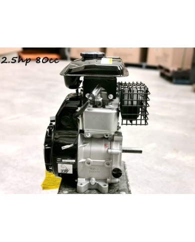 2.5HP 80cc Engine Lifan Gokart Drift Trike Lifan Esky 16mm Output Shaft OHV 2.5HP 80cc Engine Lifan Gokart Drift Trike Lifan Esky 16mm Output Shaft OHV