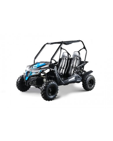 208CC 7.5HPDune Buggy UTV ATV Sport Quad Dirt Bike 4 Wheel Go kart Auto FORZA 3 208CC 7.5HPDune Buggy UTV ATV Sport Quad Dirt Bike 4 Wheel Go kart Auto FORZA 3