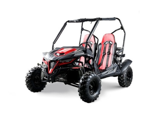 208CC 7.5HP Dune Buggy UTV ATV Sport Quad Dirt Bike 4 Wheel