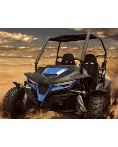 200CC GY6 Dune Buggy UTV ATV Sport Quad Dirt Bike 4 Wheel Go kart Auto FORZA 5 200CC GY6 Dune Buggy UTV ATV Sport Quad Dirt Bike 4 Wheel Go kart Auto FORZA 5