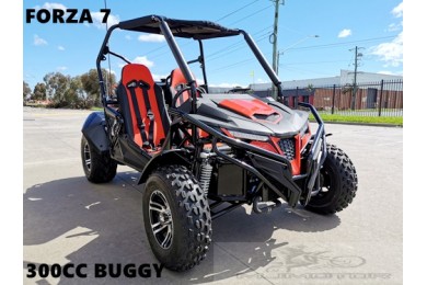 250cc Twin Seat Dune Buggy  Water Cooled Right-hand Drive 250cc Twin Seat Dune Buggy  Water Cooled Right-hand Drive